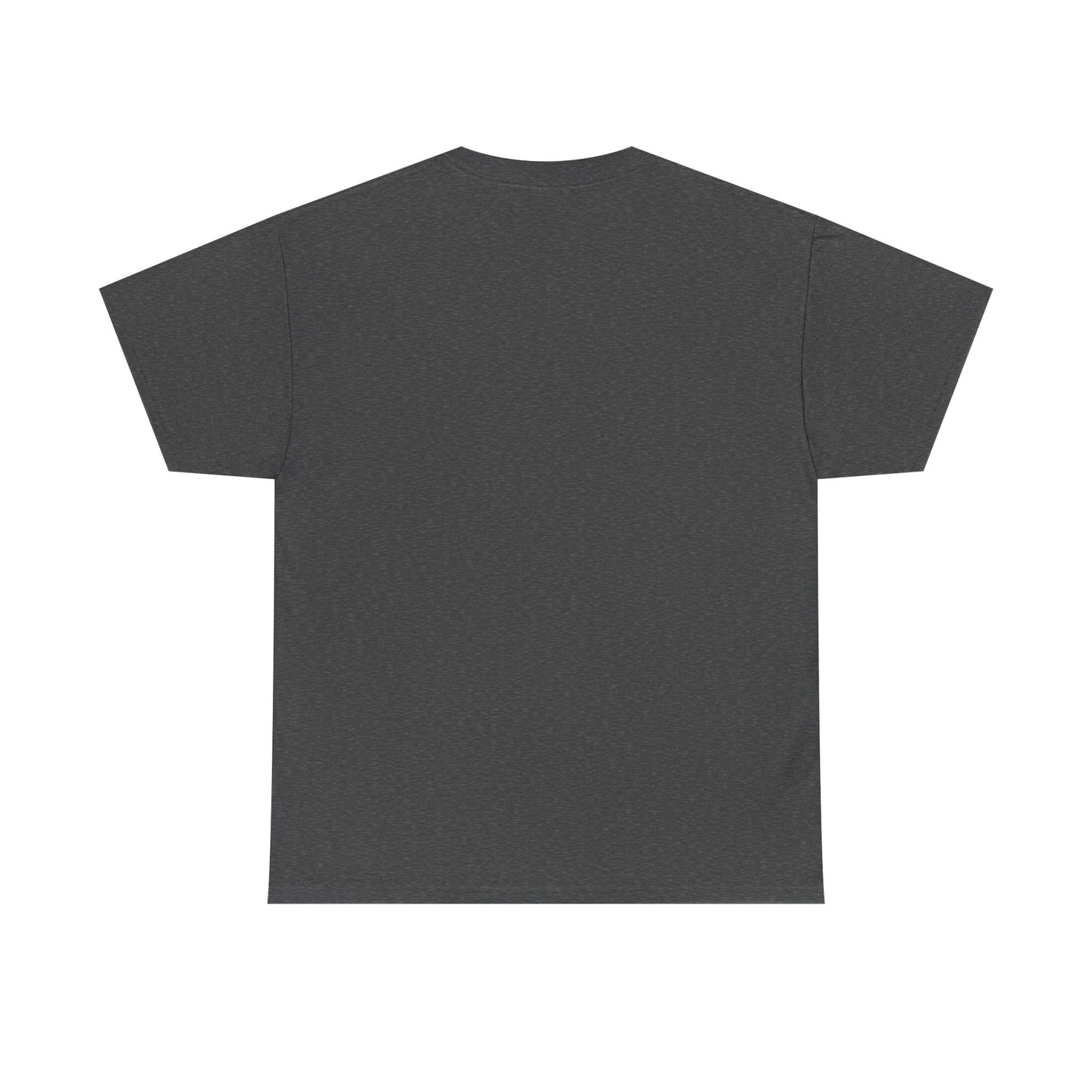 3I/ATLAS Interstellar Visitor Unisex Heavy Cotton Tee