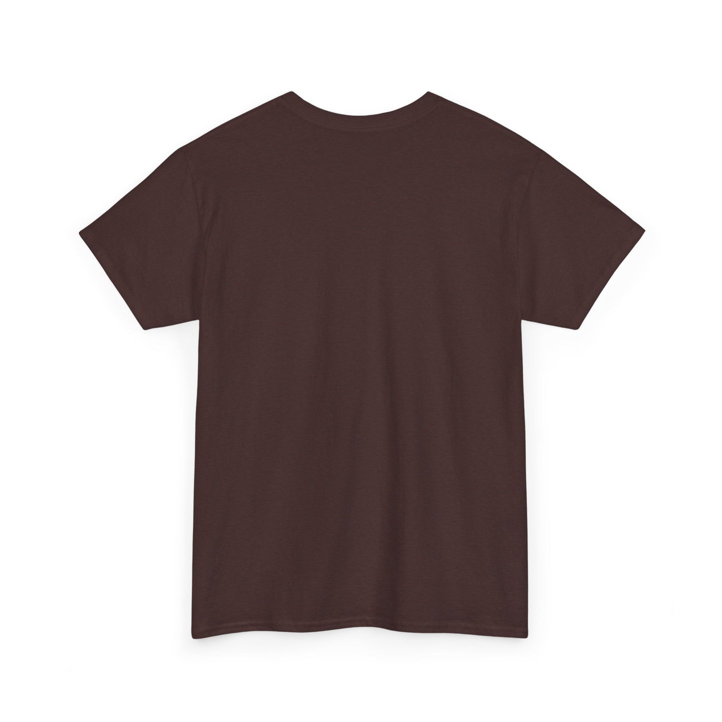 3I/ATLAS Interstellar Visitor Unisex Heavy Cotton Tee